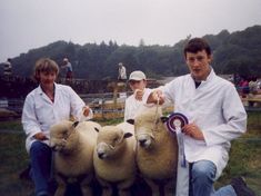 2003 group Dolwen A7, A12 & C3 pictured at Nevern show