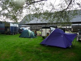 David Lewis (Arberth Flock) and our camp at Shropshire West Mid show [2009]